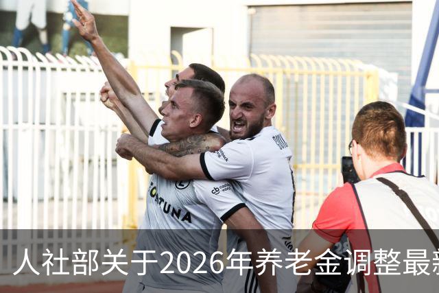 人社部关于2026年养老金调整最新动态引关注