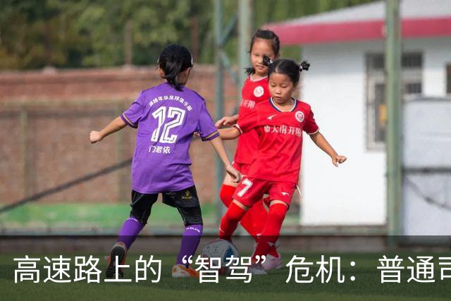 高速路上的“智驾”危机：普通司机的安全隐患